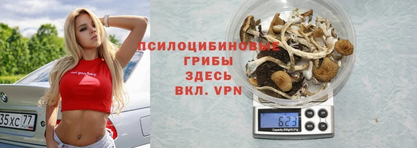 гашик Белокуриха