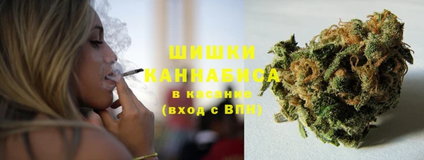 гашик Белокуриха