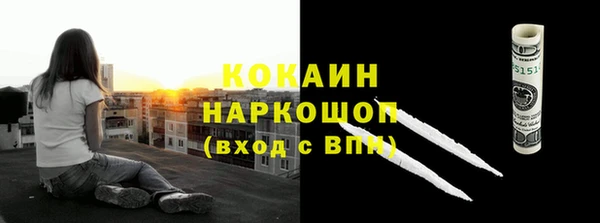 гашик Белокуриха