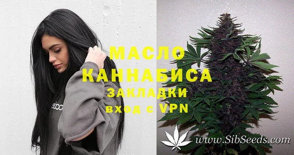 гашик Белокуриха