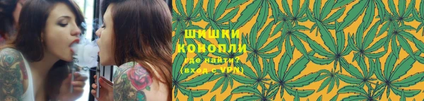 гашик Белокуриха