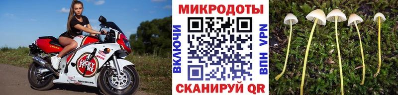 Купить  Анапа  Псилоцибиновые грибы Cubensis 